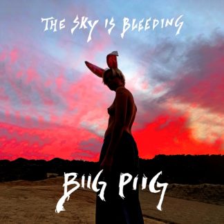 Biig Piig - The Sky Is Bleeding Vinyl / 12" Album