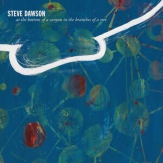 Steve Dawson - At the Bottom of a Canyon in the Branches of a Tree Vinyl / 12" Album