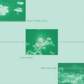 Dan Nicholls - Mattering and Meaning Cassette Tape