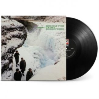 Echo & the Bunnymen - Porcupine Vinyl / 12" Album