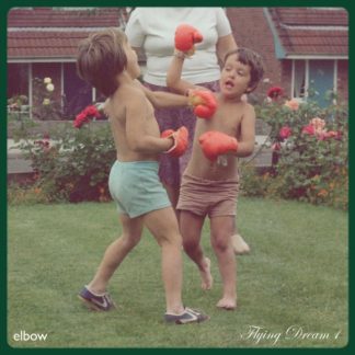 Elbow - Flying Dream 1 Vinyl / 12" Album