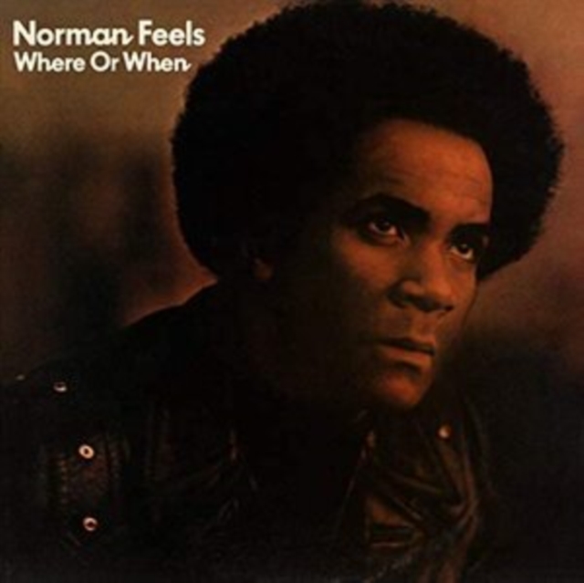 Norman Feels - Where Or When Vinyl / 12" Album