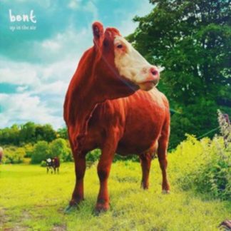 Bent - Up in the Air CD / Album