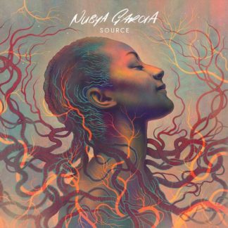Nubya Garcia - Source Vinyl / 12" Album