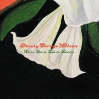 Danny George Wilson - We've Got a Lot to Learn Vinyl / 7" Single