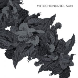 Mitochondrial Sun - Mitochondrial Sun Vinyl / 12" Album