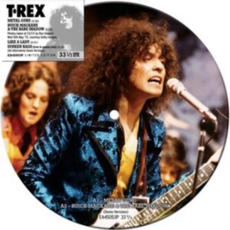 T.Rex - Metal Guru Vinyl / 7" EP Picture Disc