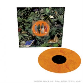 Don Broco - Amazing Things Vinyl / 12" Album Coloured Vinyl (Limited Edition)