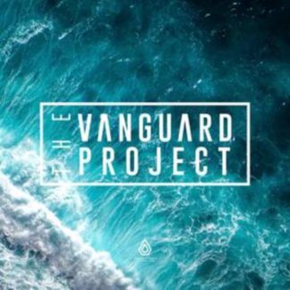 The Vanguard Project - Stitches/What U Do Remixes Vinyl / 10" Single