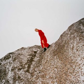 Cate Le Bon - Reward Vinyl / 12" Album