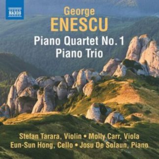 Eun-Sun Hong - George Enescu: Piano Quartet No. 1/Piano Trio CD / Album