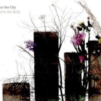 Bird in the Belly - After the City CD / Album