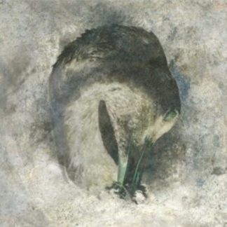 Suma - Ashes CD / Album