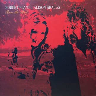 Robert Plant - Raise The Roof vinyl