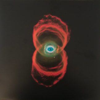 Pearl Jam - Binaural vinyl