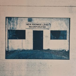 The Temperance Movement – New Promise Land Incorporated Vinyl LP