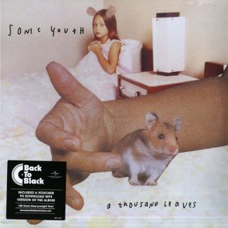 Sonic Youth - A Thousand Leaves vinyl