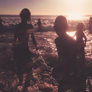 Linkin Park - One More Light vinyl