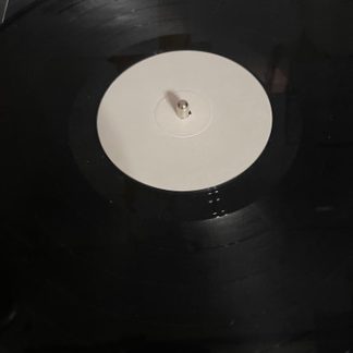 Disturbed - Divisive  vinyl