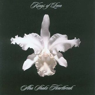 Kings Of Leon - Aha Shake Heartbreak vinyl