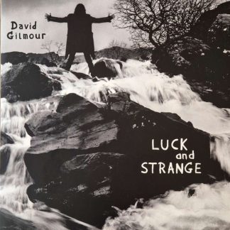 David Gilmour - Luck And Strange vinyl