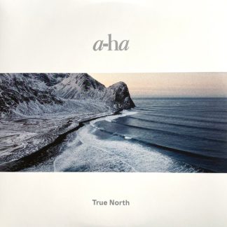 a-ha - True North vinyl