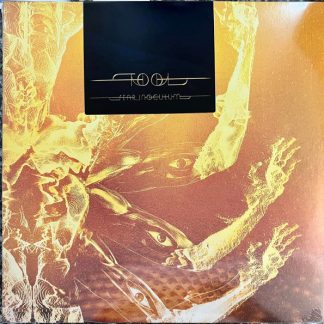 Tool - Fear Inoculum vinyl