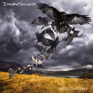 David Gilmour - Rattle That Lock vinyl