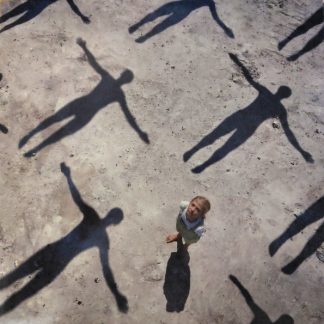 Muse - Absolution vinyl