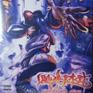 Limp Bizkit - Significant Other vinyl