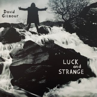 David Gilmour - Luck And Strange vinyl