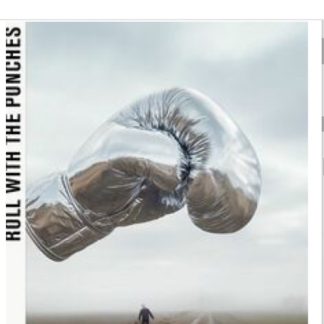 Bryan Adams - Roll With The Punches vinyl