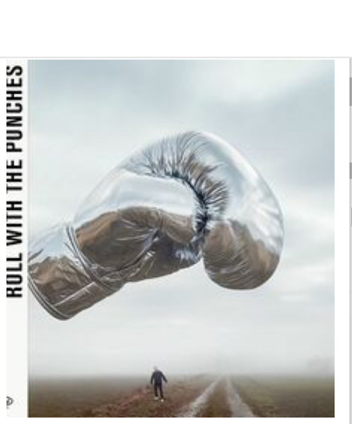 Bryan Adams - Roll With The Punches vinyl