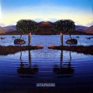 Bruce Dickinson - Skunkworks vinyl