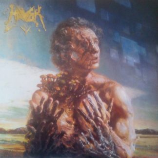 Havok - V vinyl