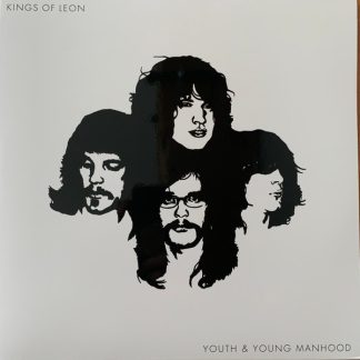 Kings Of Leon - Youth & Young Manhood vinyl