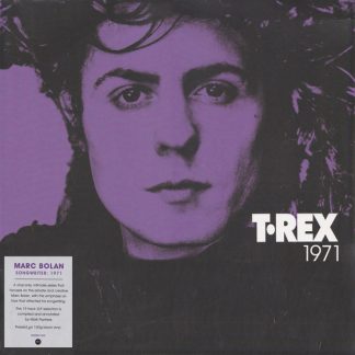 T. Rex - 1971 vinyl