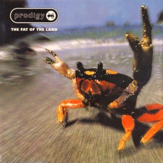 The Prodigy - The Fat Of The Land vinyl