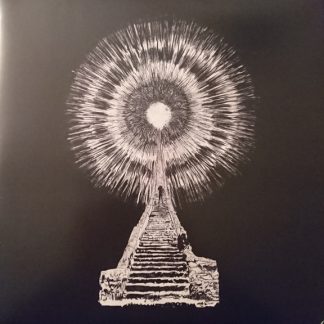 The Wounded Kings - Visions in Bone vinyl