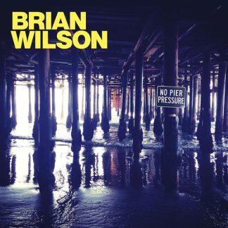 Brian Wilson - No Pier Pressure vinyl