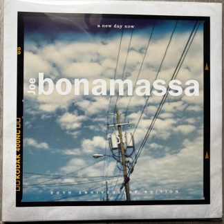 Joe Bonamassa - A New Day Now - 20th Anniversary Edition vinyl